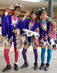 �W���Y�h���[����